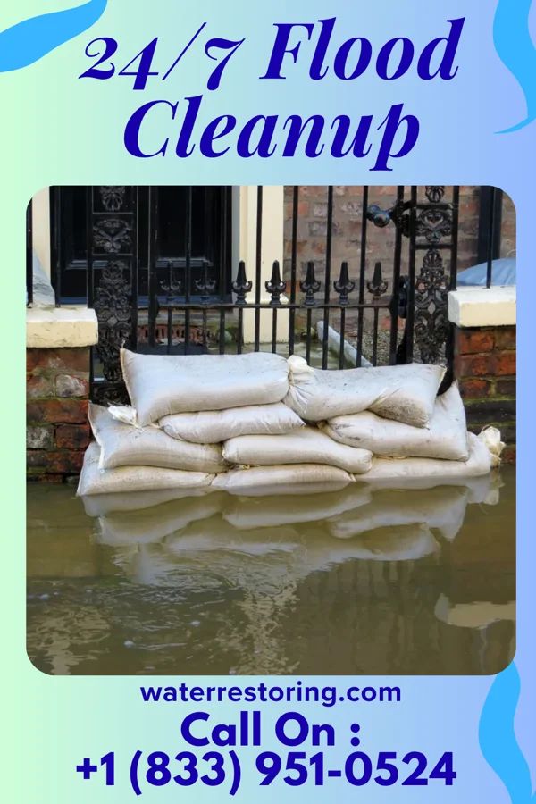 24/7 Flood Cleanup in Memphis, TX