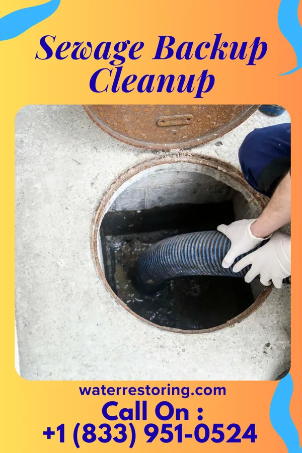 Sewage Backup Cleanup in Memphis, TX